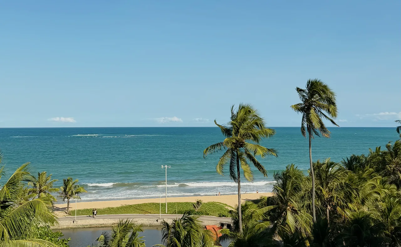 O mar e os coqueiros vistos do apartamento na Jatiúca.